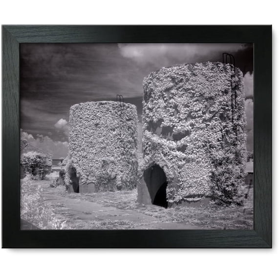 Framed Print: Mcmillan Reservoir, Washington, D.C., 2010