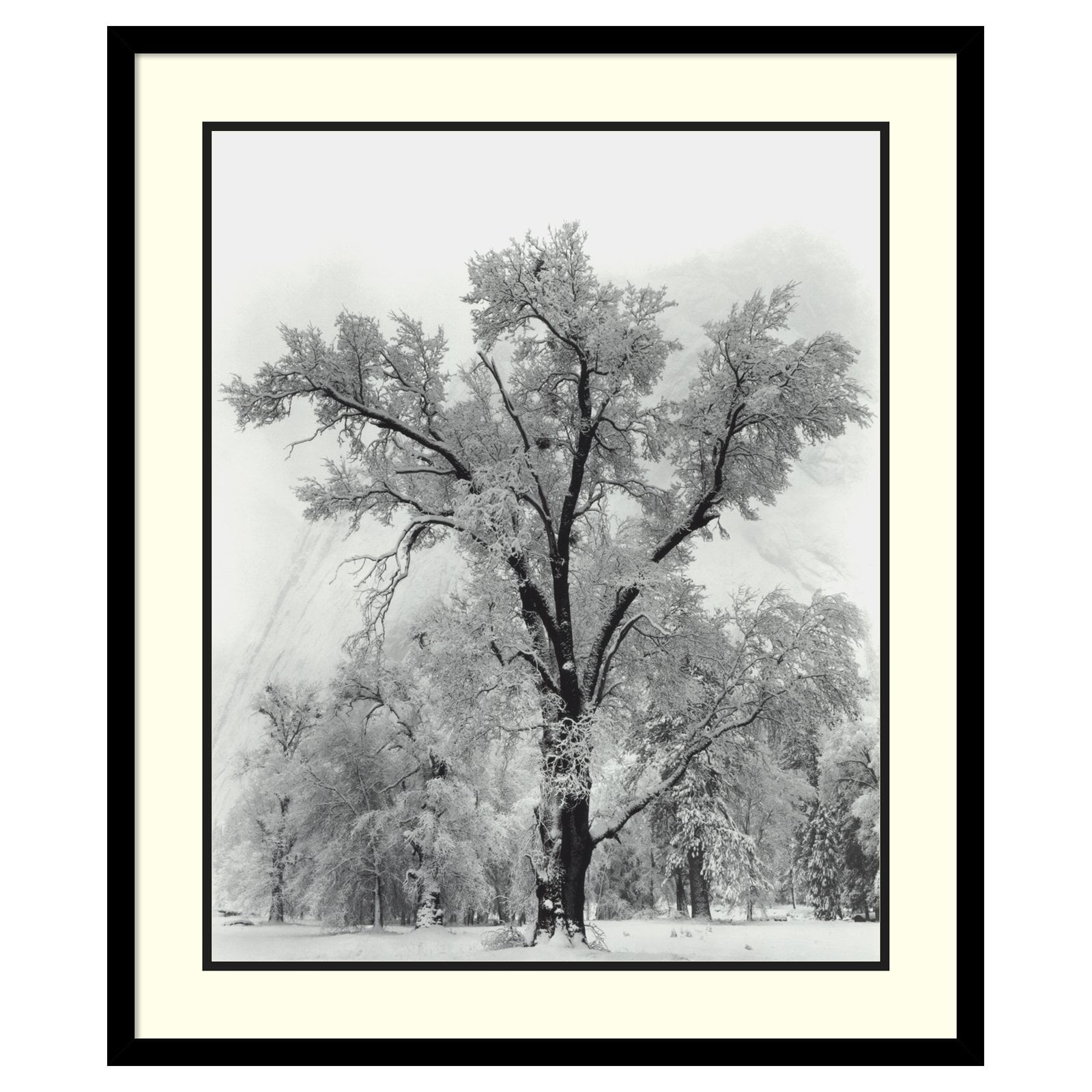 Black and White Framed Landscape Print, 27 x 32 inches