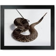 thumbnail image 1 of Framed Print: Rattlesnake Rodeo In Opp, Alabama, 2010, 1 of 3