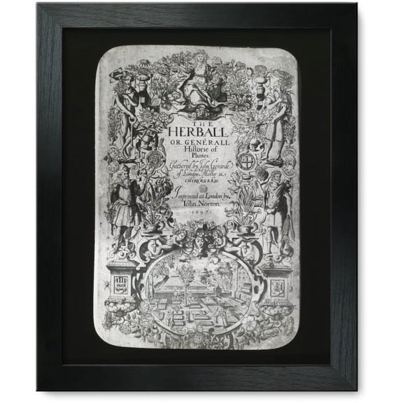 Framed Print: Reproduction Of Title Page For The Herball Or Generall Historie Of