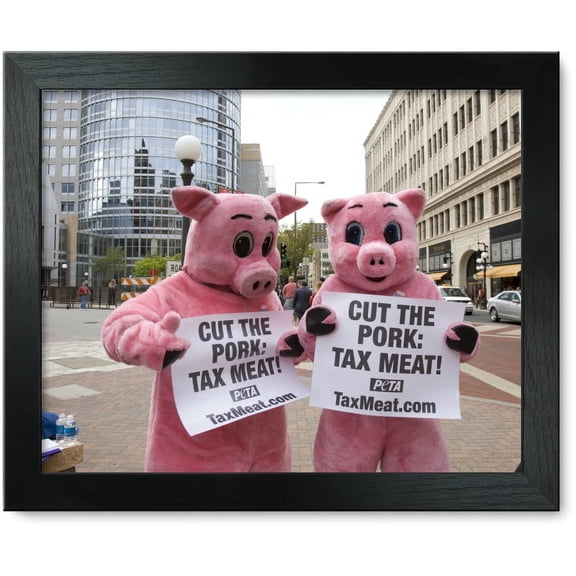 Framed Print: Republican National Convention, September 1-4, 2008. Protesters