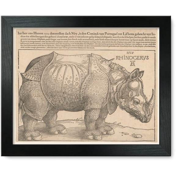 Framed Print: Rhinoceros, 1515