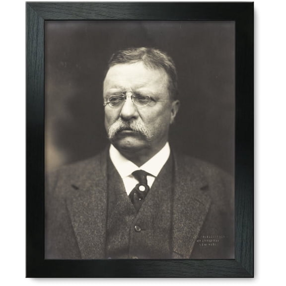 Framed Print: Theodore Roosevelt, Bust Portrait, Facing Front, 1915