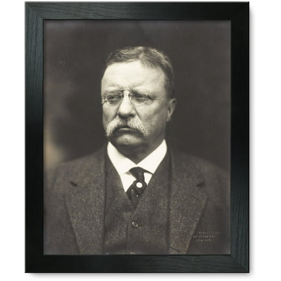 Framed Print: Theodore Roosevelt, Bust Portrait, Facing Front, 1915