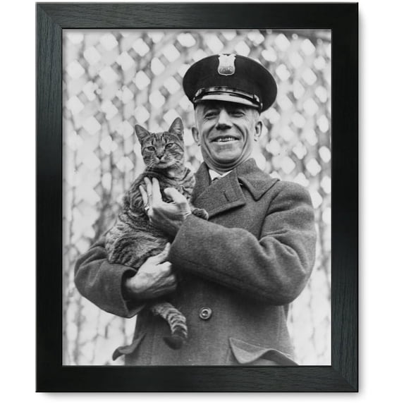 Framed Print: Tige The White House Cat And Pet Of Mrs. Coolidge Has Been