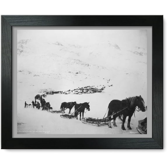 Framed Print: Transportation By Horses, Mules, Dogs And Bicycle, circa 1900