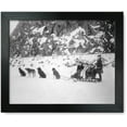 thumbnail image 1 of Framed Print: Traveling By Dog Sled, circa 1900, 1 of 3