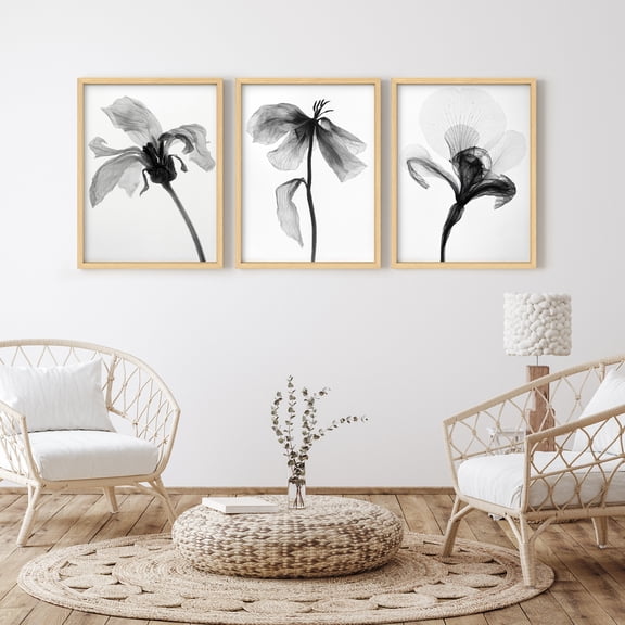 Framed Print Wall Art Set of 3 - Black and Whtie Flowers Poster Art - 3 Pieces Watercolor Floral Botanical Modern Wall Decor for Living Room - 12"x16"x3 Natural