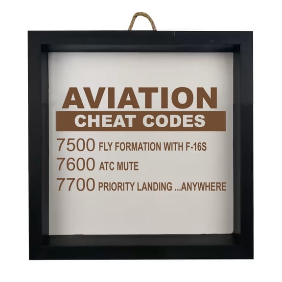 Framed Wood Sign Wall Art Home Desk Decor Gift Aviation Cheat Codes Pilot (Black Frame)