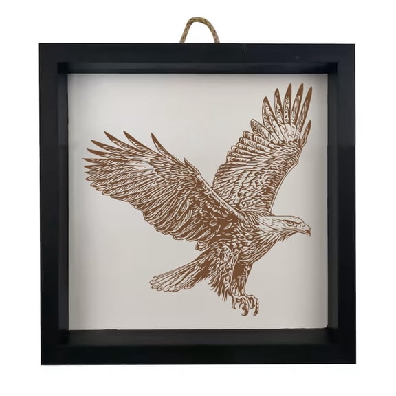 Framed Wood Sign Wall Art Home Desk Decor Gift Bald Eagle (Black Frame)