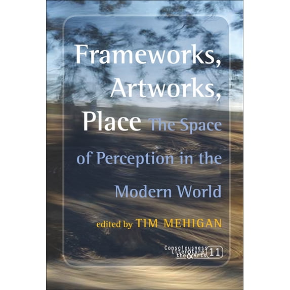 Consciousness, Literature and the Arts Frameworks, Artworks, Place: The Space of Perception in the Modern World, Book 11, (Paperback)
