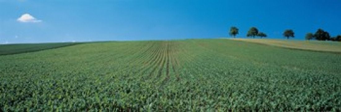 France Alsace Canvas Art - Panoramic Images (18 x 6)