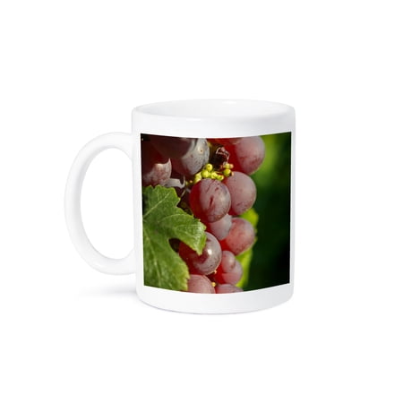3drose, France, Alsace, Eguisheim. a Bunch of Gewurztraminer Grapes in Alsace., 15oz Mug