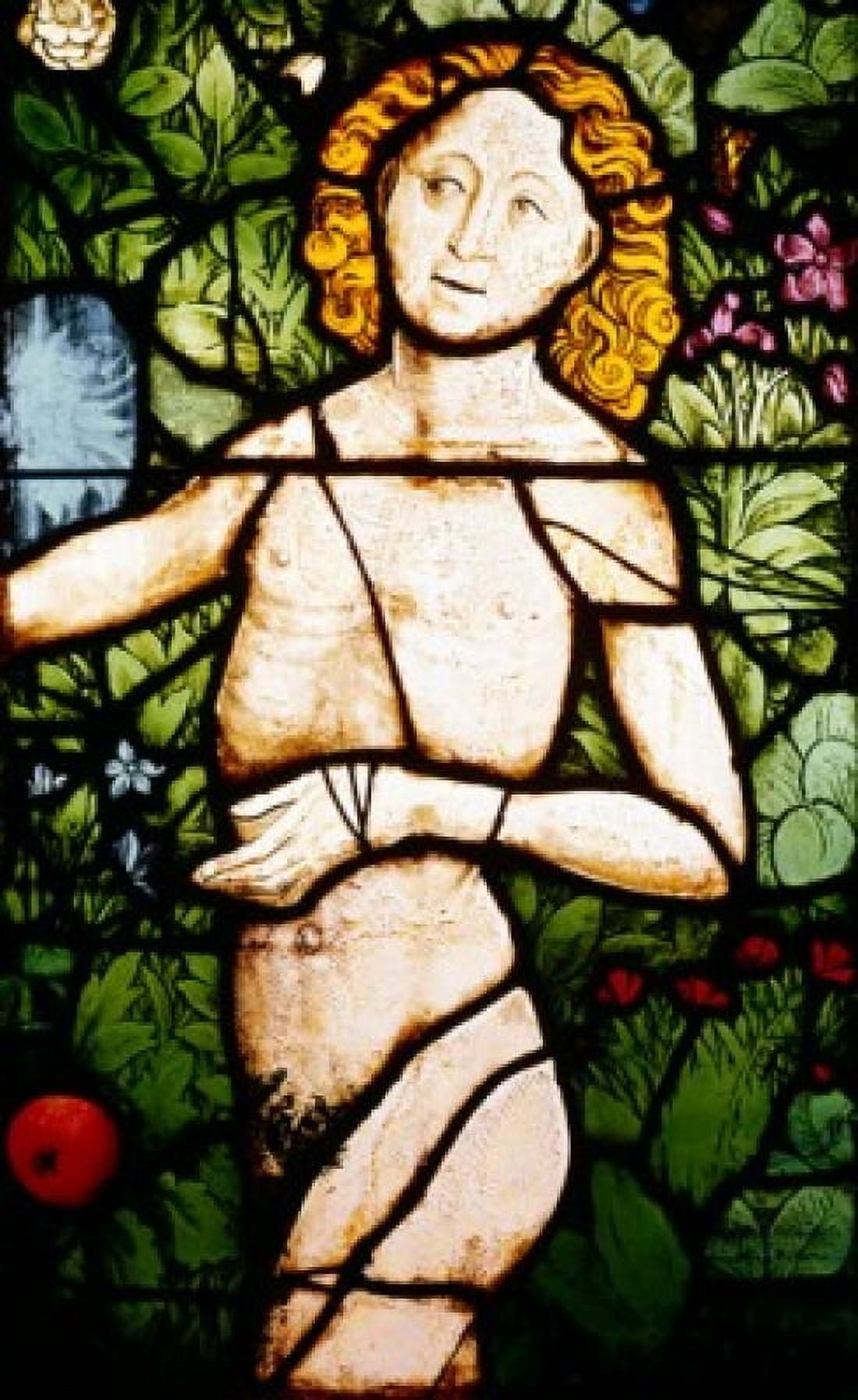 France Alsace Strasbourg Adam in Paradise stained glass France Alsace Strasbourg Museum of the Works of Notre Dame de Strasbourg Canvas Art - (18 x 24)