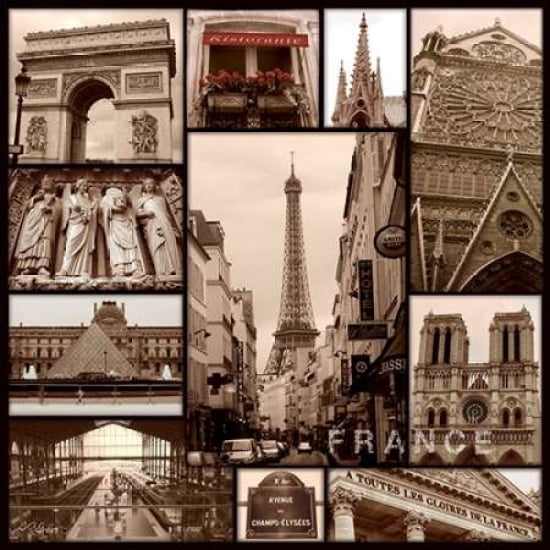 France Canvas Art - Sage Singleton (24 x 24)