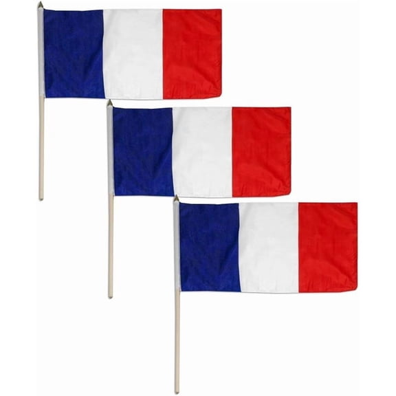 France Flag 12 x 18 inch (3 PK)