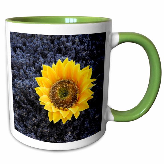 3drose, France, Lourmarin. Dried Sunflower, 11oz Two-tone Green Mug