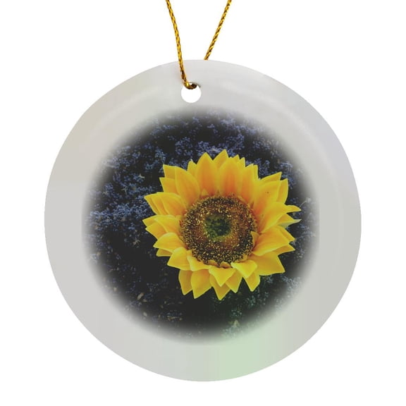3drose, France, Lourmarin. Dried Sunflower, Circle Porcelain Ornament