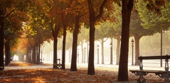 France Paris Champs Elysees Canvas Art - Panoramic Images (24 x 12)