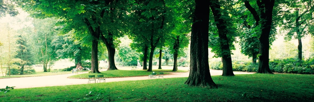 France Paris Jardin du Luxembourg Canvas Art - Panoramic Images (36 x 12)