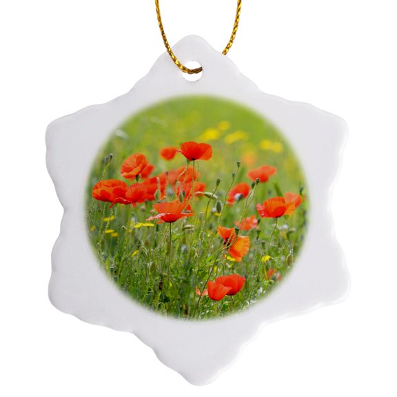 3drose, France, Provence, Cote Dazur, Lourmarin. Wild Poppies, 3 inch Snowflake Porcelain Ornament
