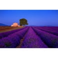 thumbnail image 1 of France  Provence. Lavender field in the Valensole Plateau.  Poster Print by Jaynes Gallery, 1 of 1