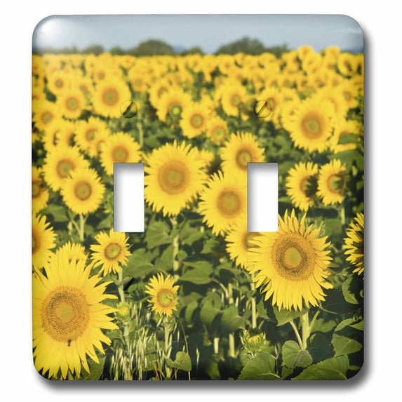 3dRose, France, Provence, Valensole. Field of sunflowers - EU09 BTH0013 - Brenda Tharp, double toggle switch