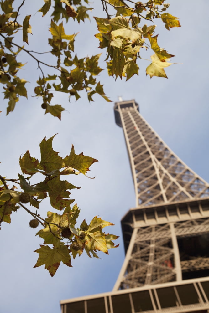 France park around of Eiffel Tower Paris Champ de Mars Canvas Art - Carlos Sanchez Pereyra Design Pics (24 x 38)