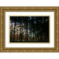 thumbnail image 1 of Frances, Stephanie 14x11 Gold Ornate Wood Framed with Double Matting Museum Art Print Titled - Over There 2, 1 of 4
