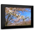 thumbnail image 1 of Frances, Stephanie 14x12 Black Modern Framed Museum Art Print Titled - Sudden Blossom 1, 1 of 5