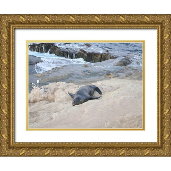 Frances, Stephanie 24x19 Gold Ornate Wood Framed with Double Matting Museum Art Print Titled - Sealion
