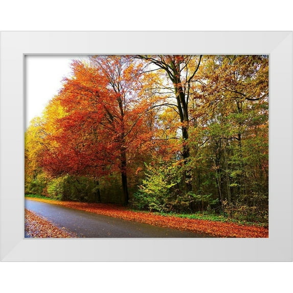 Frances, Stephanie 24x19 White Modern Wood Framed Museum Art Print Titled - Amsterdam Woods