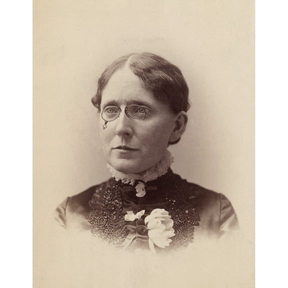 Frances Willard History Poster Print
