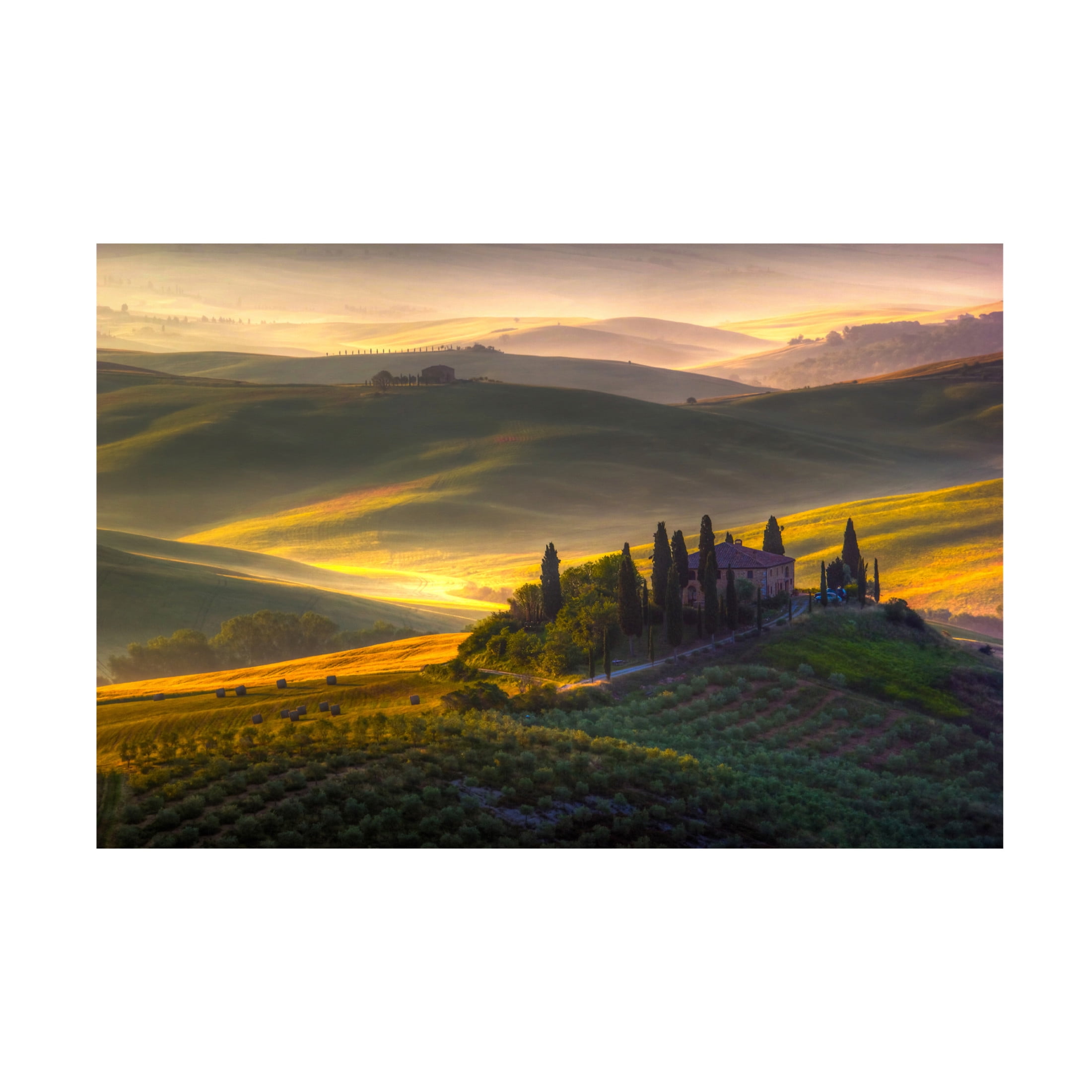 Francesco Riccardo Iacomino 'Of Green And Gold' Canvas Art - 47 x 30 Inches