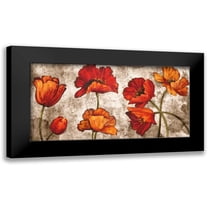 Francis, Brian 14x9 Black Modern Framed Museum Art Print Titled - Poppy Paradise
