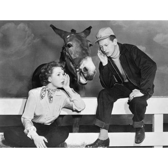 Francis Goes To The Races Still (20 x 16)