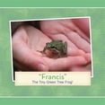 thumbnail image 1 of "Francis": The Tiny Green Tree Frog! (Paperback) by Patricia Tiegs, 1 of 1