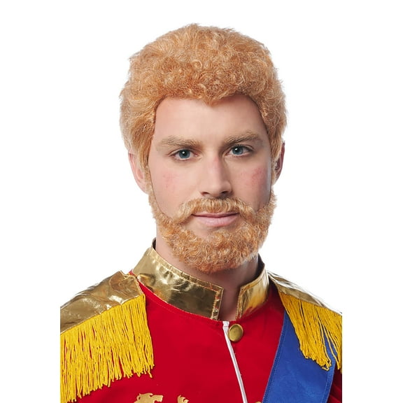 Franco FCO-24994-C Prince Wig and Beard Adult Costume Accessories