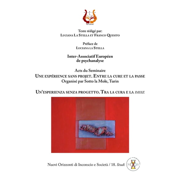 Franco Quesito,Luciana La Stel Un'esperienza senza progetto. Tra la cura e la «pass (Paperback)