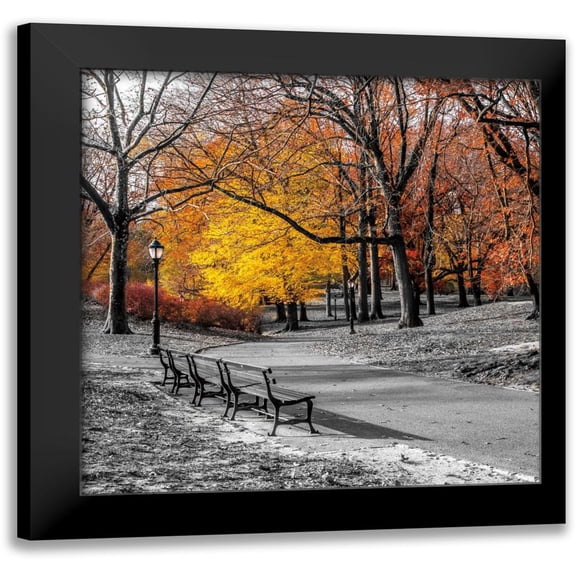 Frank, Assaf 12x12 Black Modern Framed Museum Art Print Titled - Park Pretty I