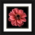 thumbnail image 1 of Frank, Assaf 12x12 Black Ornate Wood Framed with Double Matting Museum Art Print Titled - AF20110818 Dahlia 022C25, 1 of 4