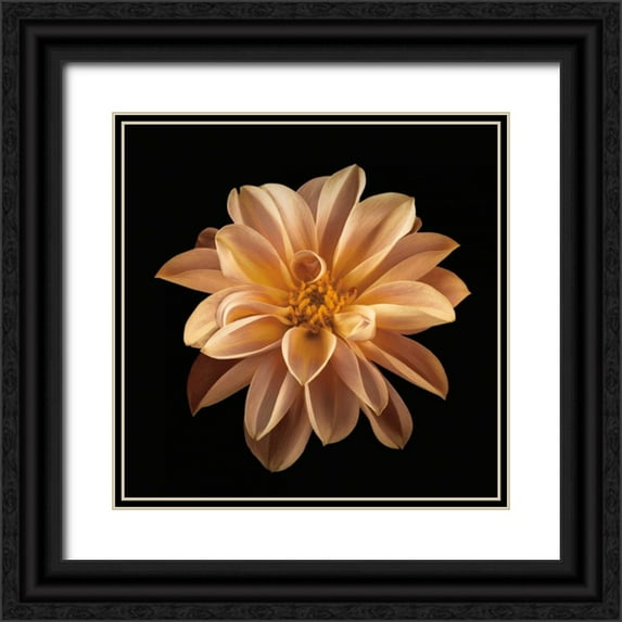 Frank, Assaf 12x12 Black Ornate Wood Framed with Double Matting Museum Art Print Titled - Four Keeps II