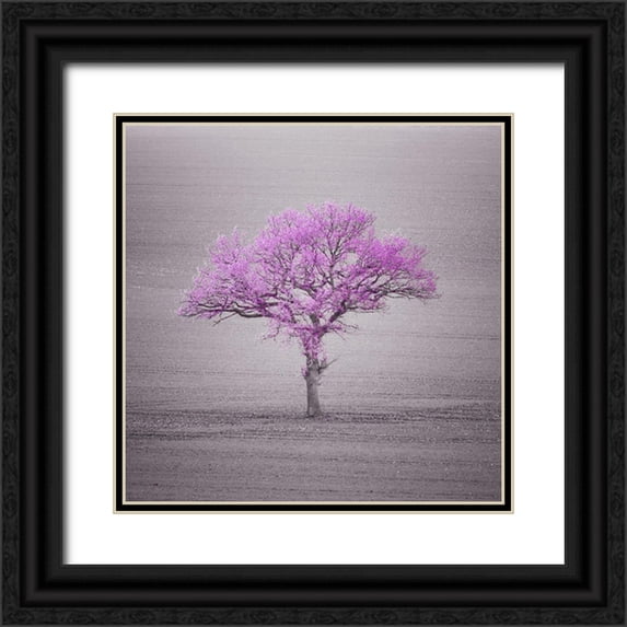 Frank, Assaf 12x12 Black Ornate Wood Framed with Double Matting Museum Art Print Titled - Single tree in foggy grassfield