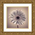 thumbnail image 1 of Frank, Assaf 12x12 Gold Ornate Wood Framed with Double Matting Museum Art Print Titled - AF20120911 Gerbera 029C01, 1 of 4