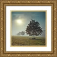 thumbnail image 1 of Frank, Assaf 12x12 Gold Ornate Wood Framed with Double Matting Museum Art Print Titled - Its a New Day, 1 of 4