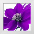 thumbnail image 1 of Frank, Assaf 12x12 White Modern Wood Framed Museum Art Print Titled - AF20110714 Dahlia 107C05, 1 of 4