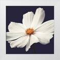 thumbnail image 1 of Frank, Assaf 12x12 White Modern Wood Framed Museum Art Print Titled - Cosmos II, 1 of 4