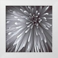 thumbnail image 1 of Frank, Assaf 12x12 White Modern Wood Framed Museum Art Print Titled - Natural Designs II, 1 of 4
