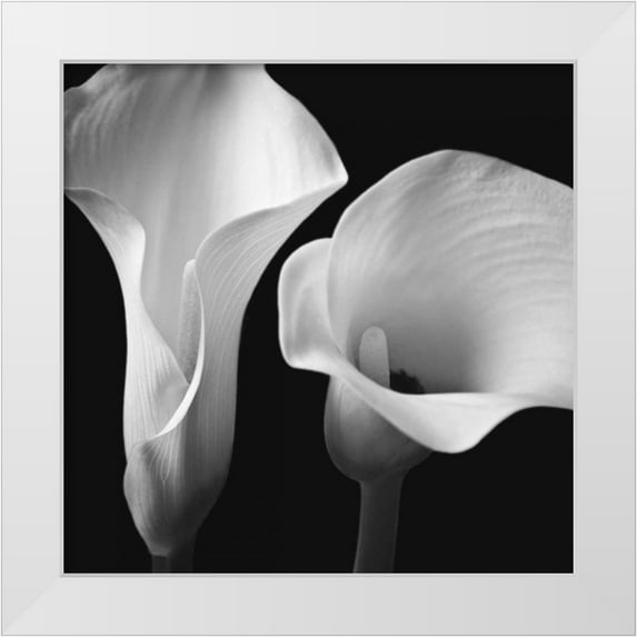 Frank, Assaf 12x12 White Modern Wood Framed Museum Art Print Titled - Softness II