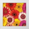 thumbnail image 1 of Frank, Assaf 12x12 White Modern Wood Framed Museum Art Print Titled - Splash of Color II, 1 of 4
